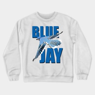Blue Jay Crewneck Sweatshirt